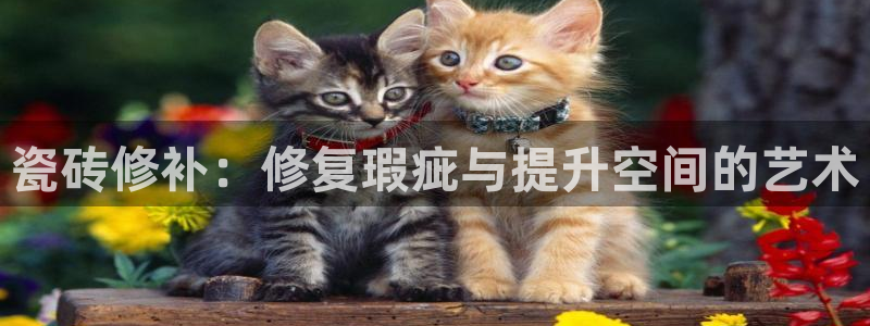 万事娱乐招商主管招聘