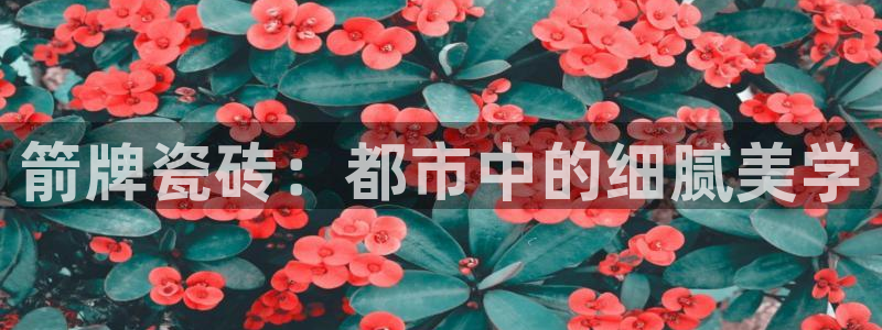 娱乐宝宝万事屋