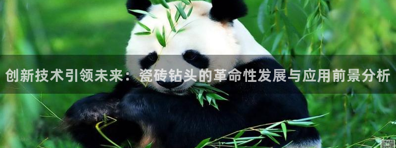 万事娱乐筘49403