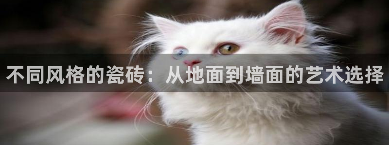 万事娱乐系37997筘