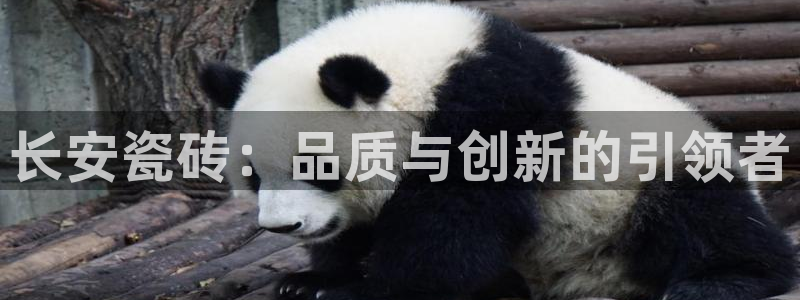 万事达娱乐指尖那