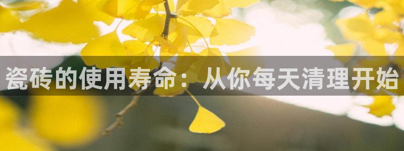 万事娱乐是什么