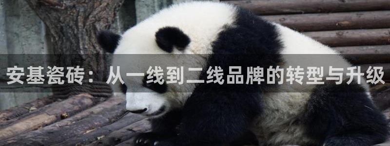 万事娱乐下载地址