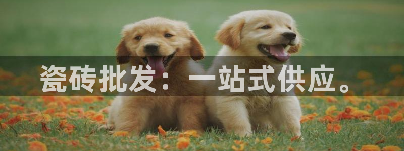 人间万事屋娱乐