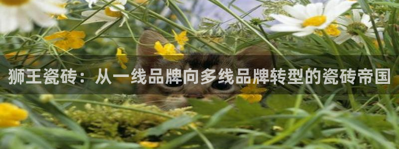 娱乐江湖万事通