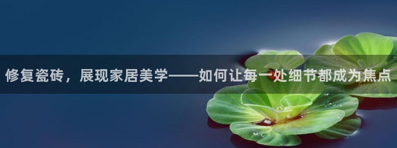 万事娱乐 找86555