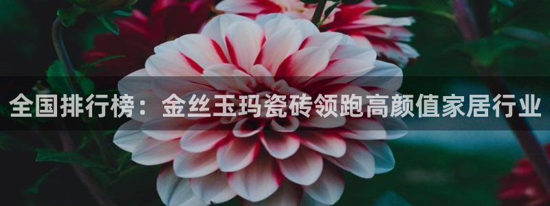 万事娱乐官网网址