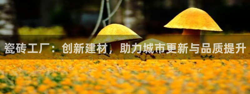 万事达娱乐筘55312