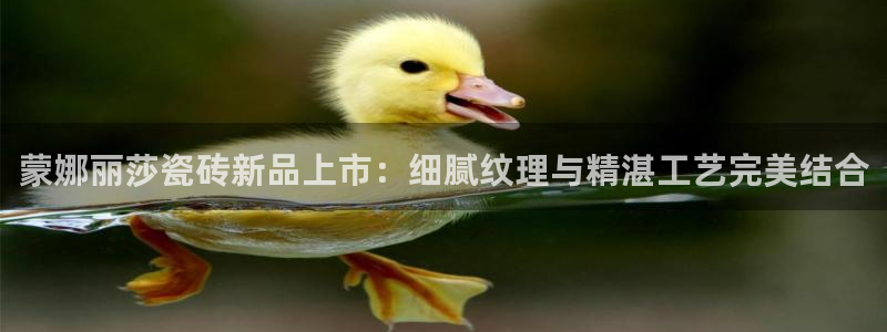 万事达娱乐b 判官