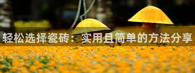 万事达娱乐 股东