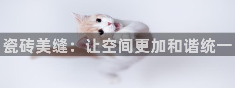 万事达大酒店娱乐