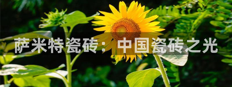 人间万事屋娱乐锤