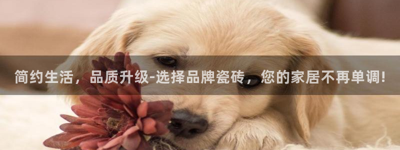 万事如意纯属娱乐