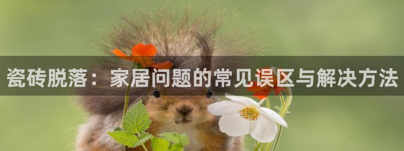 万事达娱乐球33300