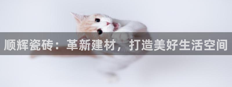 万事达娱乐63390好