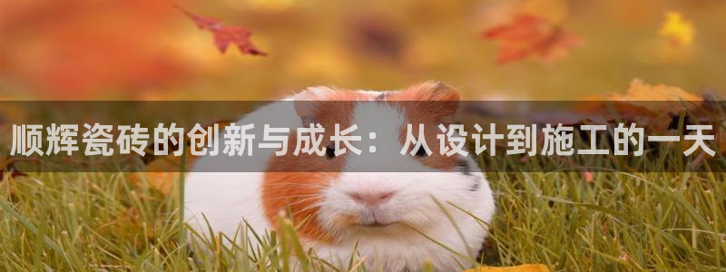 万事娱乐主管薪资待遇