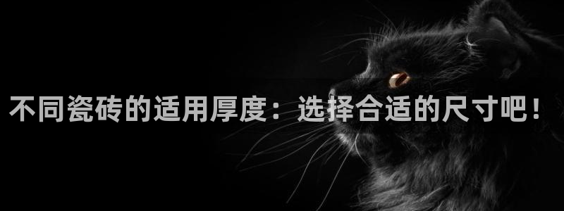 万事屋娱乐文化