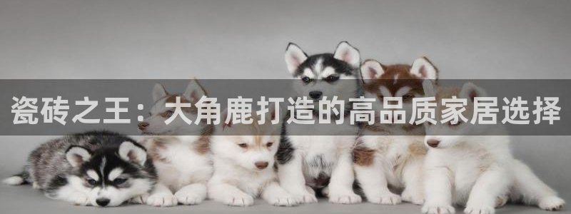 万事娱乐主管年薪多少