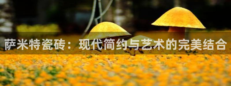 万事娱乐首页入口在哪