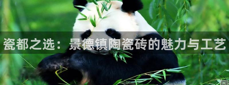 人间万事屋娱乐