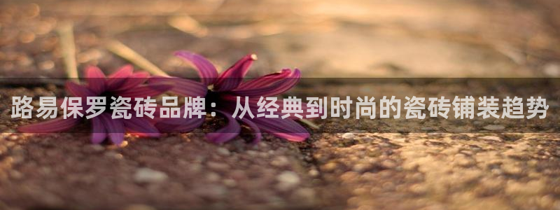 万事达娱乐连55312