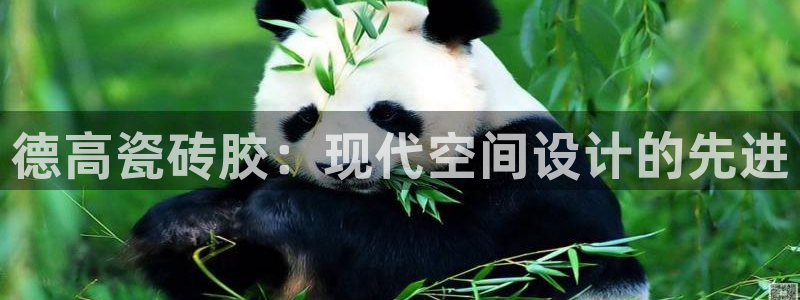 万事达娱乐95692