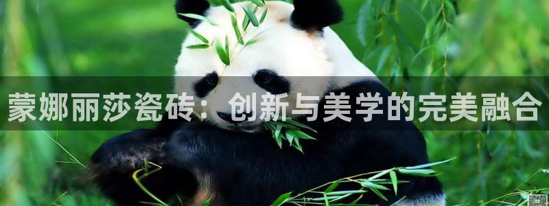 万事娱乐在线注册