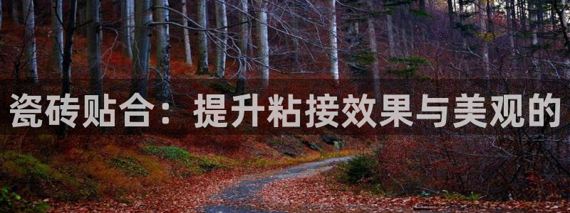 万事达娱乐上55312