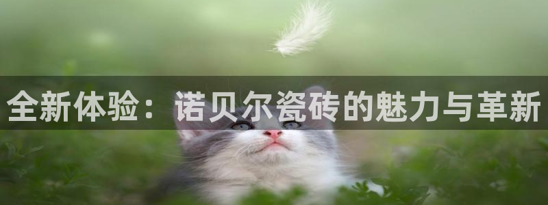 万事娱乐主管年薪多少万