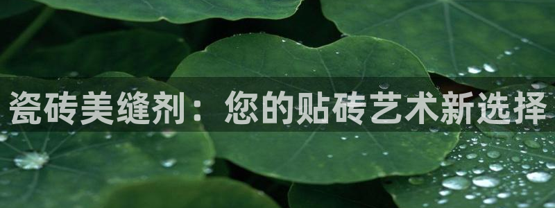 万事娱乐若七九九